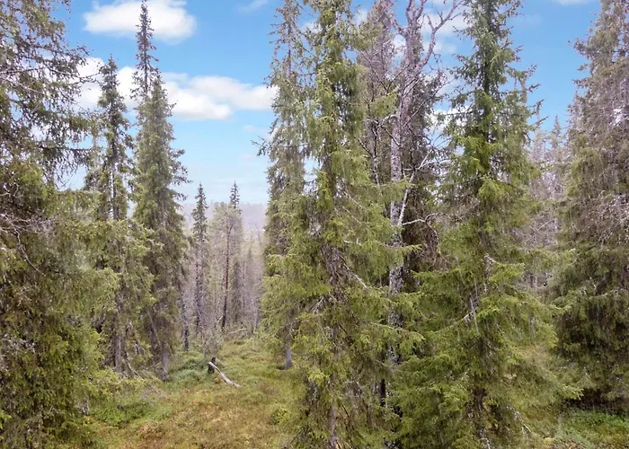 Sallan Lumous B By Interhome * Salla